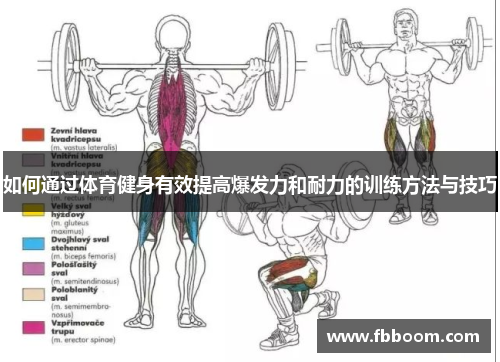 如何通过体育健身有效提高爆发力和耐力的训练方法与技巧