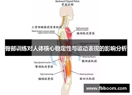 臀部训练对人体核心稳定性与运动表现的影响分析